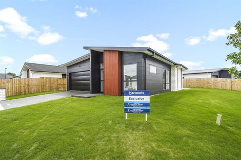 Photo of property in 29 Maggie Place, Chartwell, Hamilton, 3210