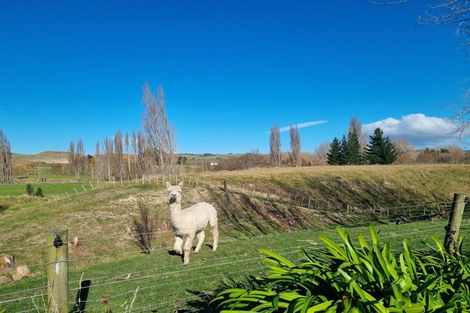 Photo of property in 2/82 Station Road, Takapau, Waipukurau, 4281