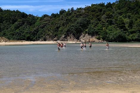 Photo of property in 133 Pukenui Road, Ngunguru, Whangarei, 0173