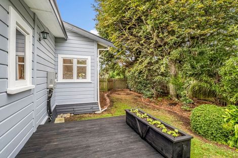 Photo of property in 17 Sussex Street, Levin, 5510