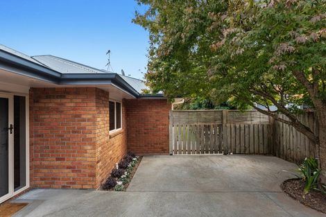 Photo of property in 152c King Street, Whakatane, 3120