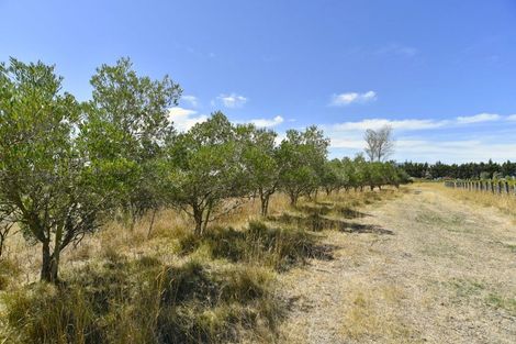 Photo of property in 53 Te Taniwha Road, One Tree Point, 0118