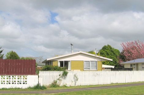 Photo of property in 19 Turnbull Crescent, Morrinsville, 3300
