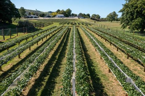 Photo of property in 529b Te Puke Highway, Te Puke, 3187