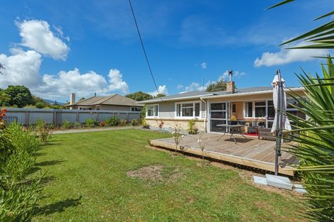 Photo of property in 103 Mulgrave Street, Ashhurst, 4810