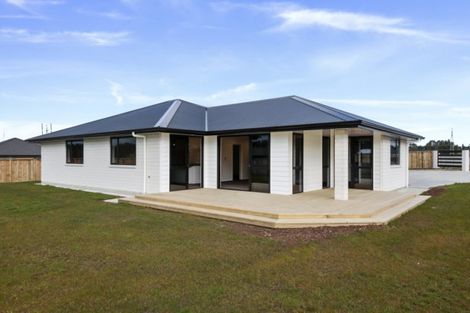 Photo of property in 12 Biron Place, Stratford, 4332