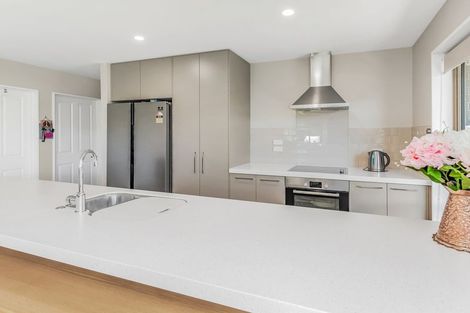 Photo of property in 47 Navy Loop, Rolleston, 7614