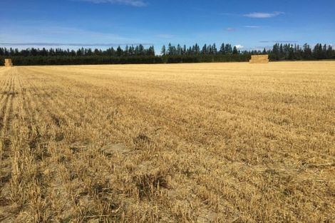 Photo of property in 80 Mount Hutt Station Road, Methven, 7782