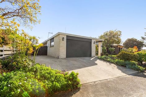 Photo of property in 6 Aintree Crescent, Awapuni, Palmerston North, 4412