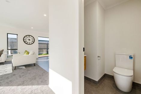 Photo of property in 29 Earp Crescent, Chartwell, 3210