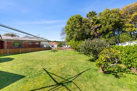 Photo of property in 110 Fox Street, Hamilton East, Hamilton, 3216