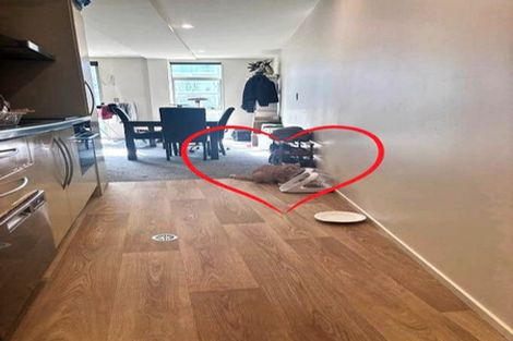 Photo of property in The Lofts, 32/185 Victoria Street, Te Aro, Wellington, 6011