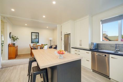 Photo of property in 60 Sydney Street, Windsor, Invercargill, 9810