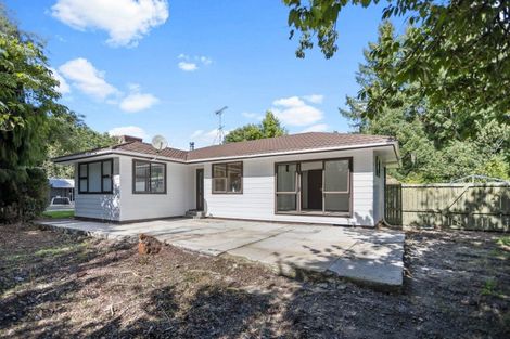 Photo of property in 3052 Old Taupo Road, Tokoroa, 3491