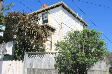 Photo of property in 5 Salisbury Terrace, Mount Cook, Wellington, 6021