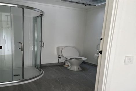 Photo of property in 85 Longhorn Drive, Flat Bush, Auckland, 2019