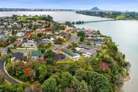Photo of property in 67 Te Hono Street, Maungatapu, Tauranga, 3112