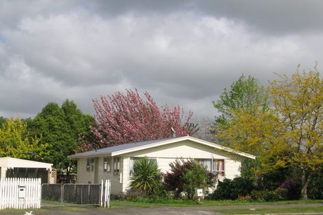 Photo of property in 19 Turnbull Crescent, Morrinsville, 3300