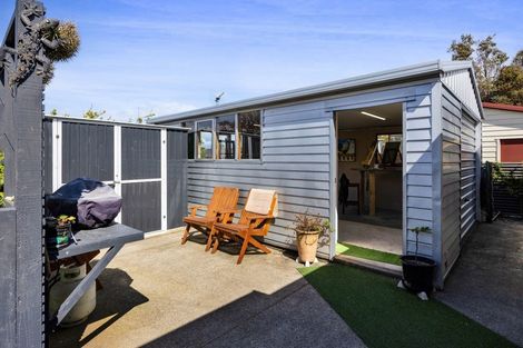 Photo of property in 20 Montjoy Street, Stratford, 4332