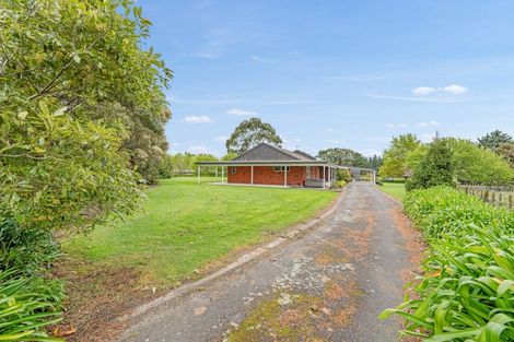 Photo of property in 245 Halcombe Road, Feilding, 4775