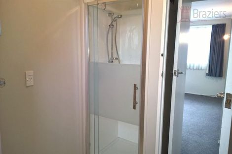 Photo of property in 45 Whitmore Street, Edgeware, Christchurch, 8013