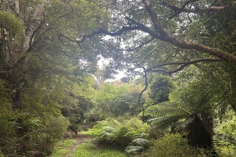 Photo of property in 112 Waikawa Curio Bay Road, Waikawa, Tokanui, 9884