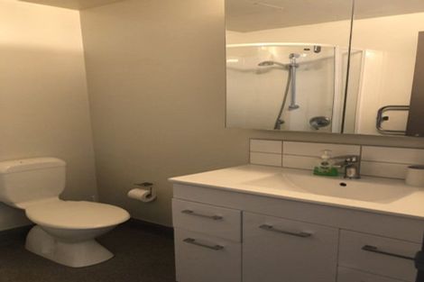 Photo of property in Dual Apartments, 301/142u Vivian Street, Te Aro, Wellington, 6011
