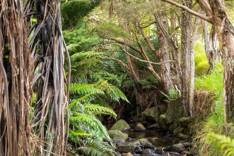 Photo of property in 71 Mangotahi Road, Thames, 3577