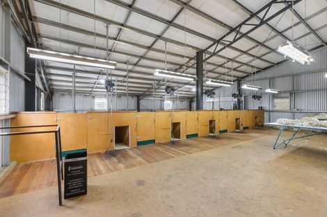 Photo of property in 63 Herema (mckays Road) Road, Toatoa, Opotiki, 3197