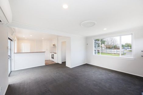 Photo of property in 345 Tremaine Avenue, Takaro, Palmerston North, 4412