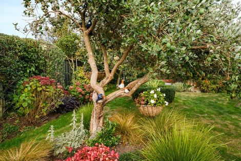 Photo of property in 17 Suffolk Crescent, Feilding, 4702