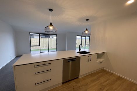 Photo of property in 66 Nethercote Way, Rolleston, 7614