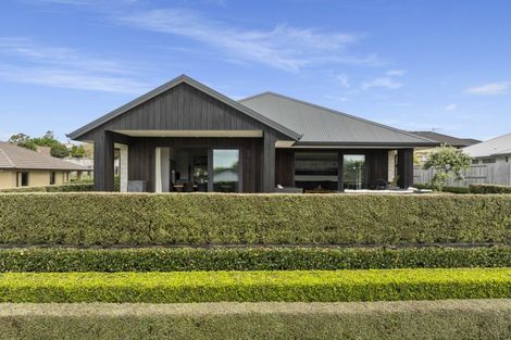 Photo of property in 19 Bertrowe Drive, Ohauiti, Tauranga, 3112