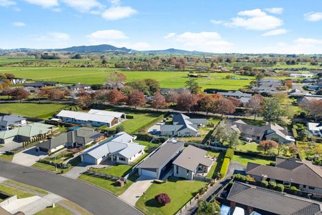 Photo of property in 12 Mckenzie Place, Matamata, 3400