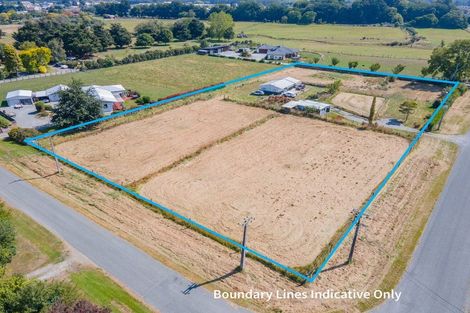 Photo of property in 29 Thompson Road, Temuka, 7920