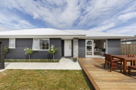 Photo of property in 5b Sandilands Street, Feilding, 4702