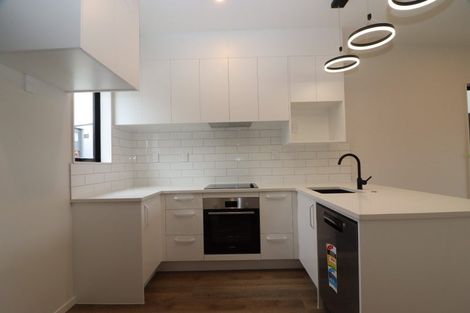 Photo of property in 29 Kiato Lane, Flat Bush, Auckland, 2019