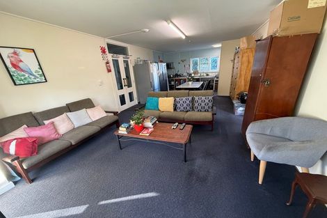 Photo of property in 113 Coromandel Street, Newtown, Wellington, 6021