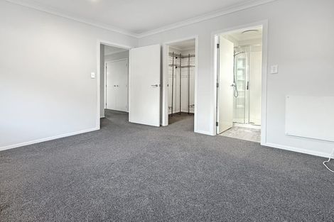 Photo of property in 79 Hinemoa Street, Levin, 5510
