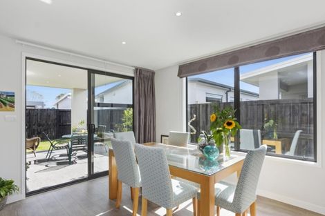 Photo of property in 14 Eden Crescent, Brookfield, Tauranga, 3110