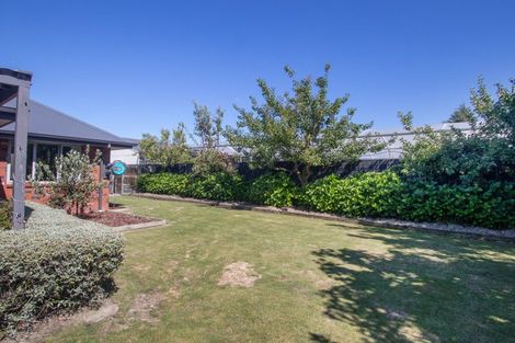 Photo of property in 6 Elmwood Grove, Tinwald, Ashburton, 7700