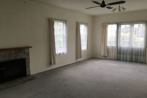 Photo of property in 58 Newington Road, Henderson, Auckland, 0612