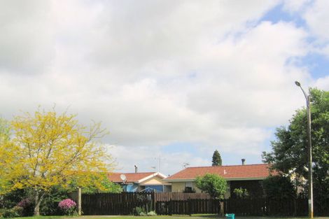 Photo of property in 17 Turnbull Crescent, Morrinsville, 3300