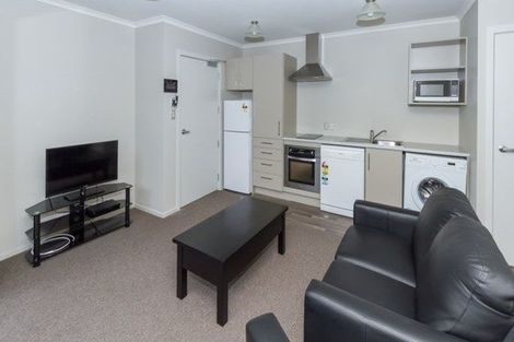 Photo of property in 58 Willoughby Street, Whitiora, Hamilton, 3200