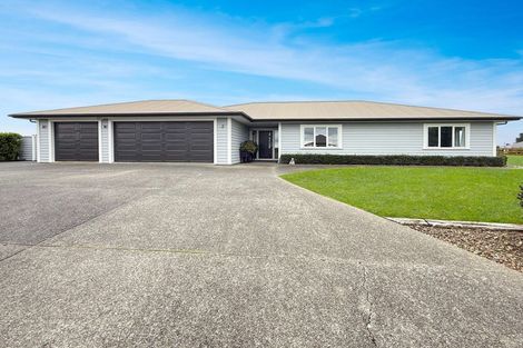 Photo of property in 42 Wapiti Avenue, Feilding, 4775