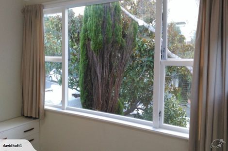 Photo of property in 61 Rolleston Street, Mount Cook, Wellington, 6021