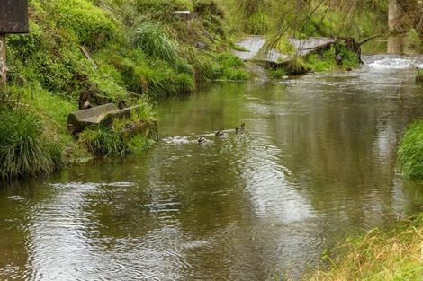Photo of property in 53 Station Road, Te Puke, 3119