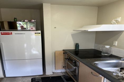 Photo of property in 11 Douglas Street, Mount Cook, Wellington, 6021