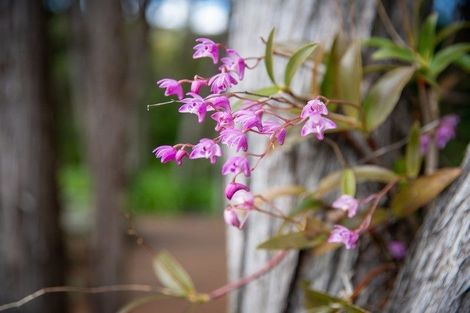 Photo of property in 27 Jacks Bush Road, Waikanae, 5391
