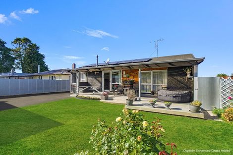 Photo of property in 79 Bridge Street, Netherby, Ashburton, 7700